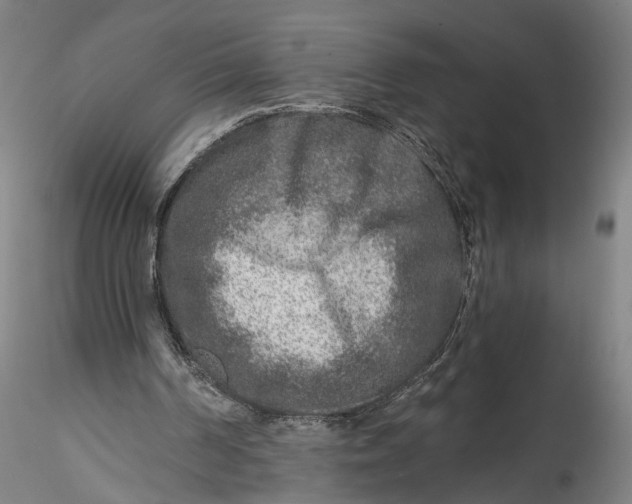 X0000115550194200911271441