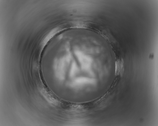 X0000115550195200911271441