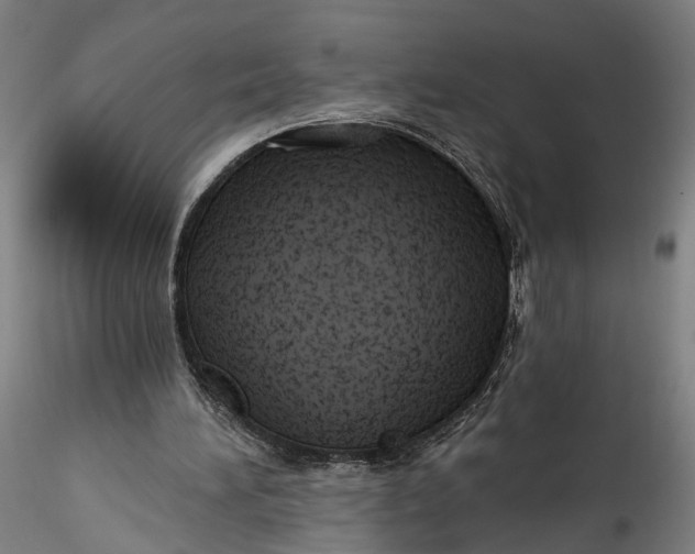 X0000115550196200911271441