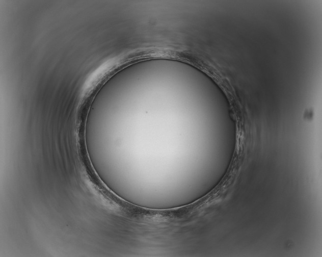 X0000115550197200911271441