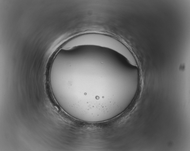 X0000115550199200911271441