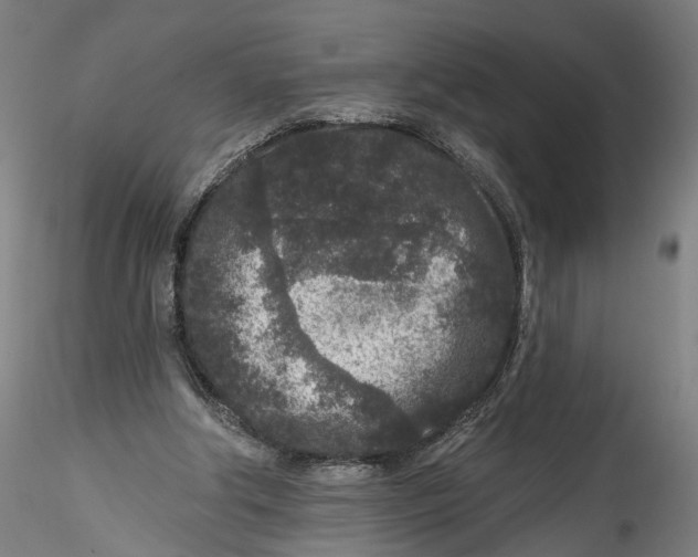 X0000115550202200911271441