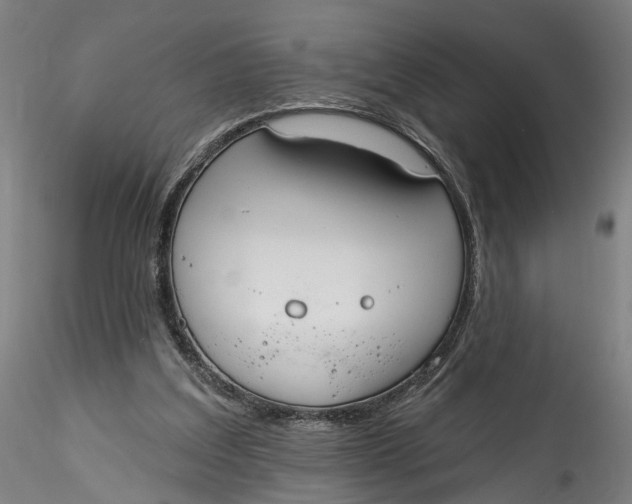 X0000115550203200911271441