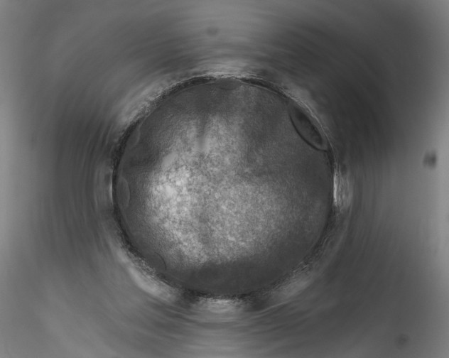 X0000115550205200911271441