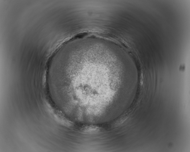 X0000115550206200911271441