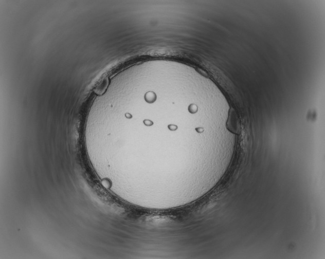 X0000115550208200911271441