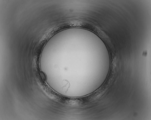 X0000115550209200911271441