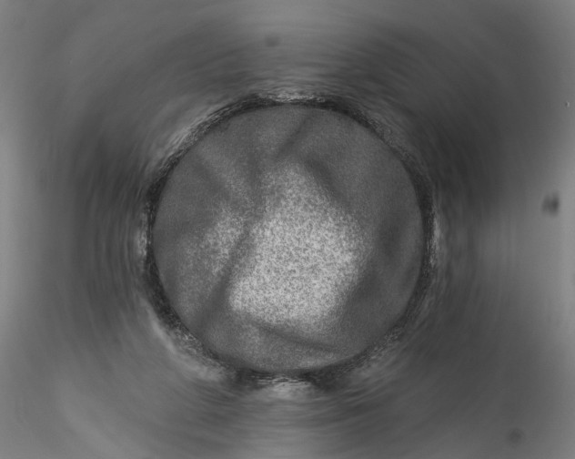 X0000115550210200911271441