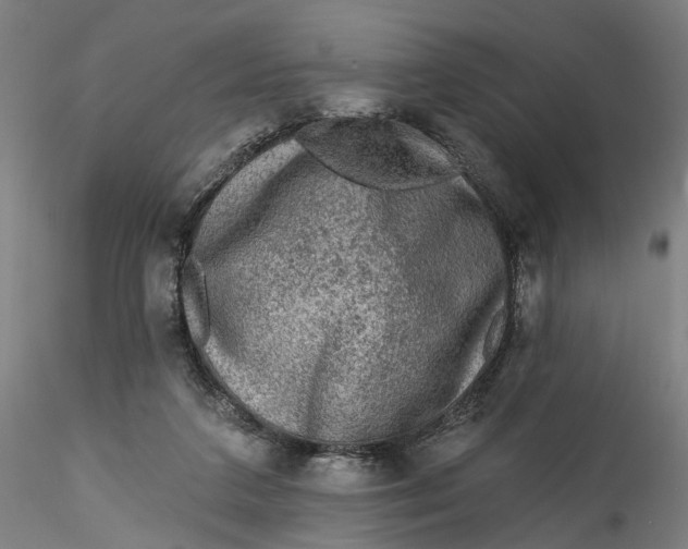 X0000115550211200911271441