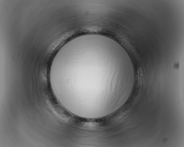 X0000115550212200911271441