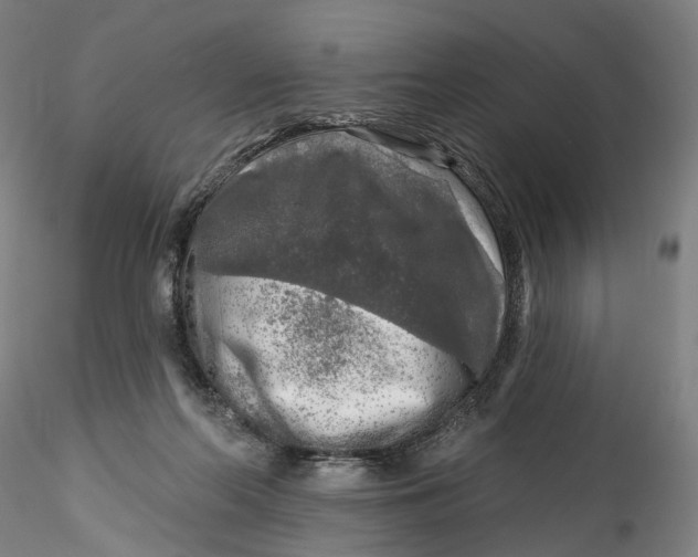 X0000115550214200911271441