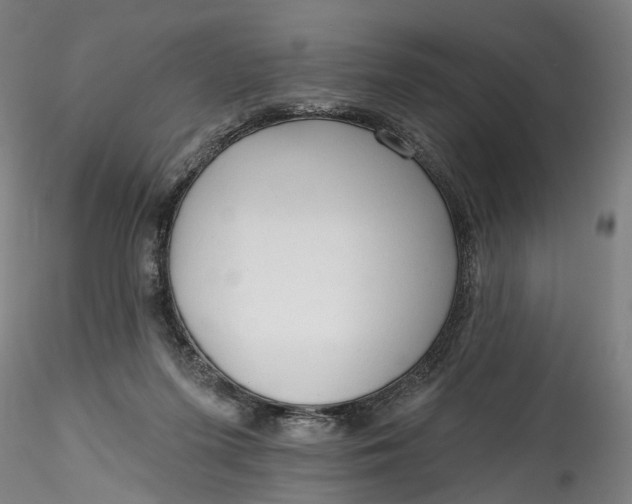 X0000115550215200911271441