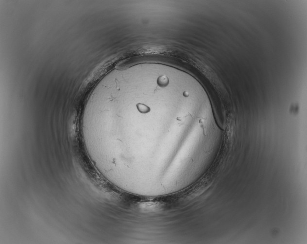 X0000115550216200911271441