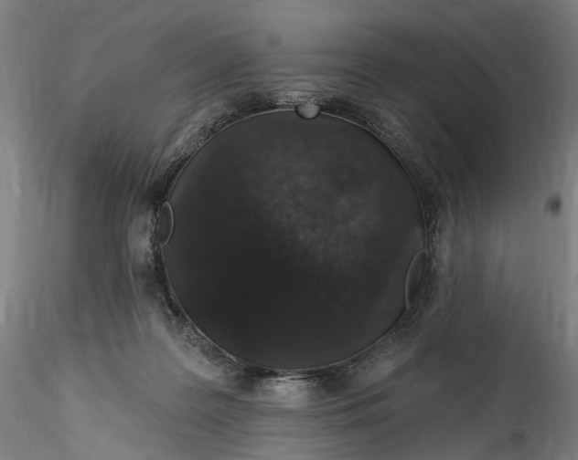 X0000115550219200911271441