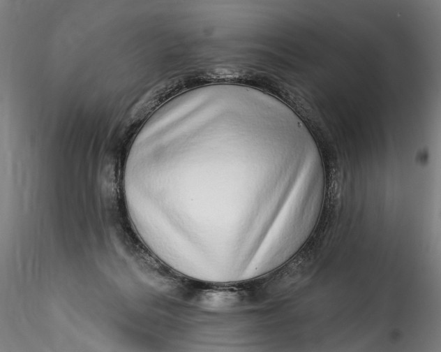 X0000115550220200911271441