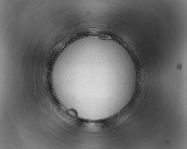 X0000115550221200911271441