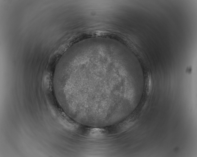 X0000115550222200911271441