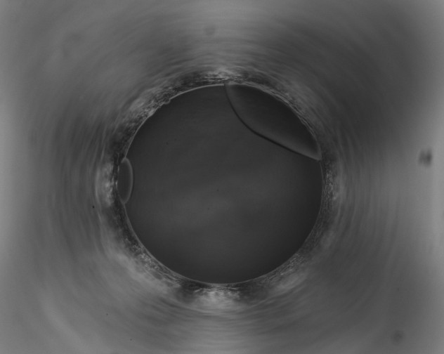 X0000115550223200911271441