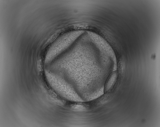 X0000115550224200911271441