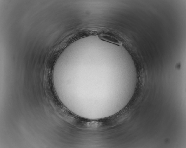 X0000115550225200911271441