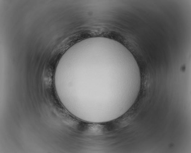 X0000115550226200911271441