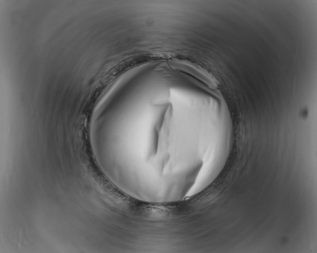 X0000115550229200911271441