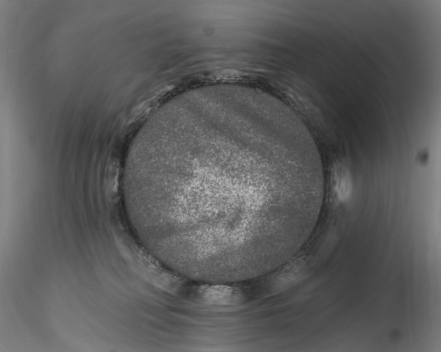 X0000115550230200911271441