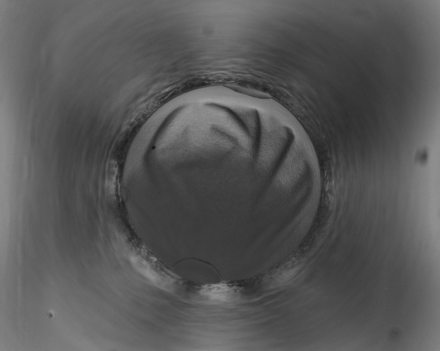 X0000115550231200911271441