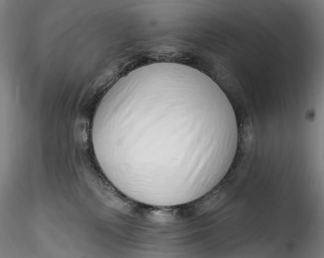 X0000115550232200911271441