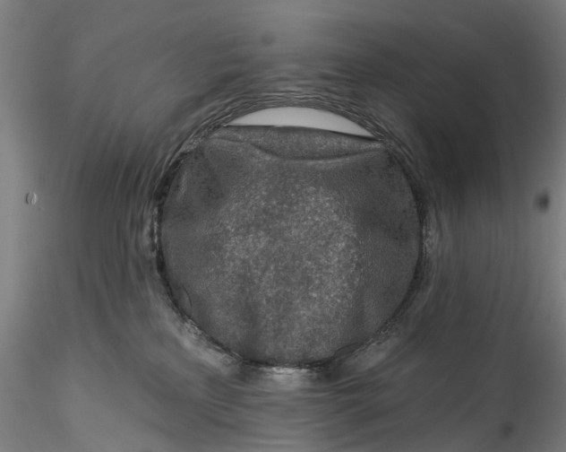 X0000115550233200911271441