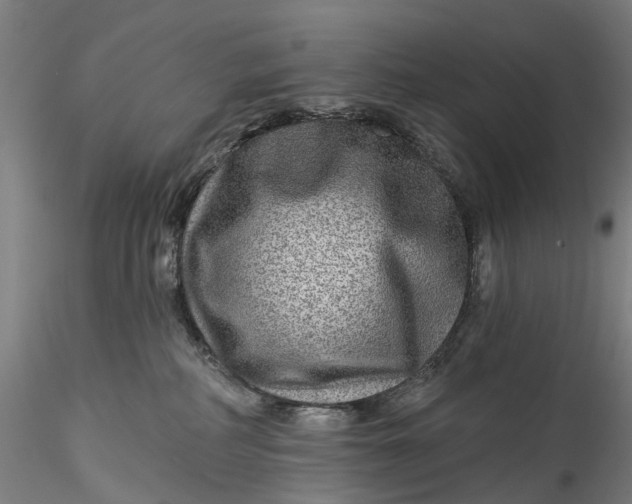 X0000115550234200911271441