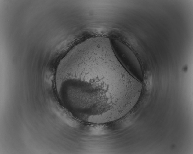 X0000115550235200911271441