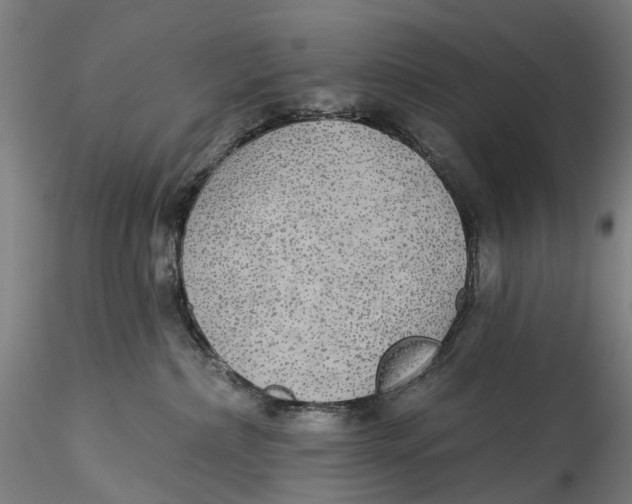 X0000115550236200911271441