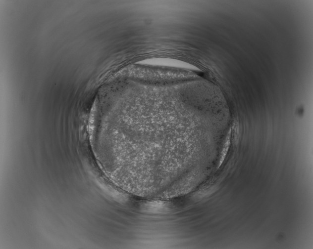 X0000115550237200911271441