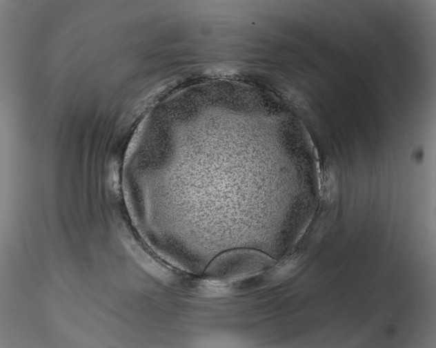 X0000115550238200911271441