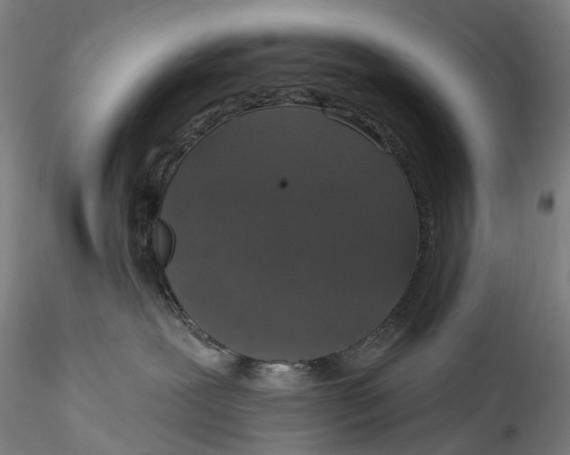 X0000115550239200911271441