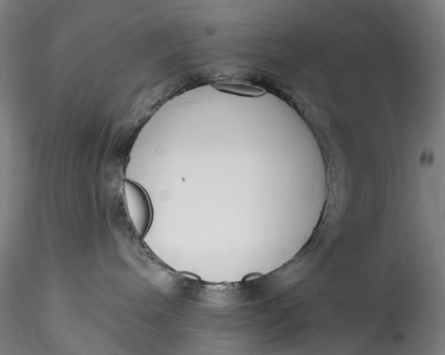 X0000115550240200911271441