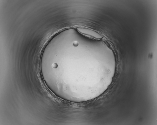 X0000115550241200911271440