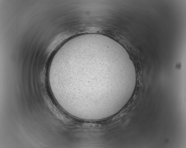 X0000115550242200911271440