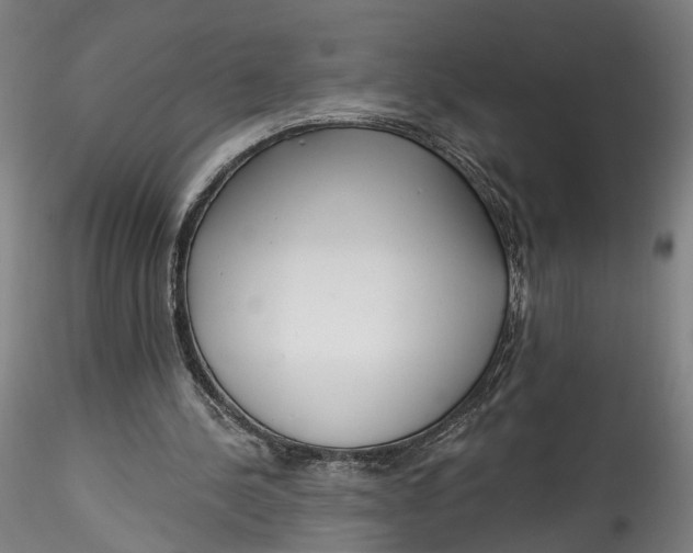 X0000115550244200911271440