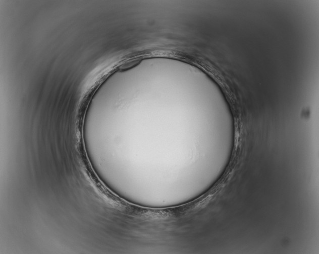 X0000115550245200911271440