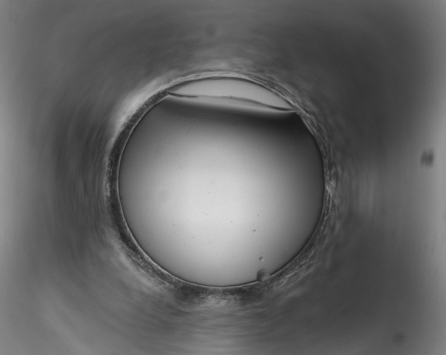 X0000115550248200911271440