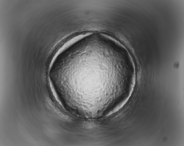 X0000115550249200911271440