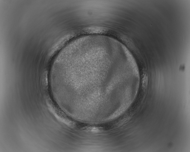 X0000115550254200911271440