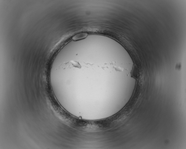 X0000115550256200911271440