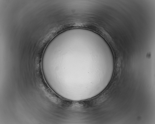 X0000115550257200911271440