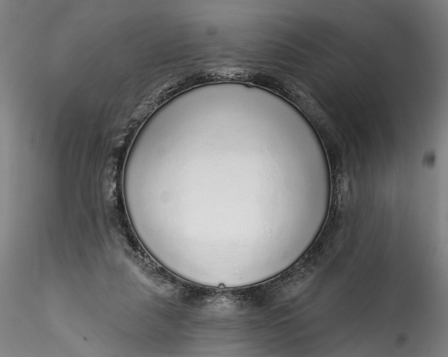 X0000115550259200911271440