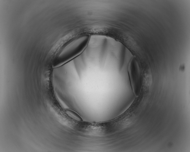 X0000115550260200911271440