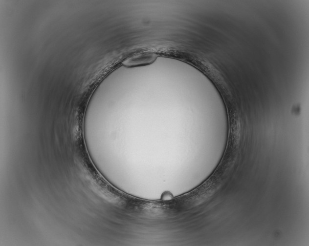 X0000115550261200911271440