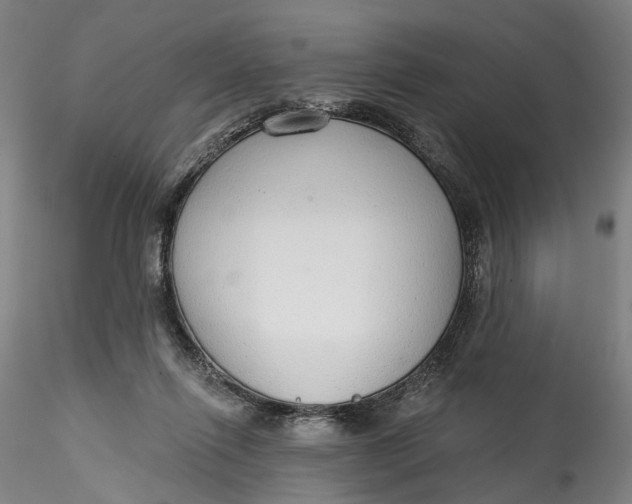 X0000115550262200911271440